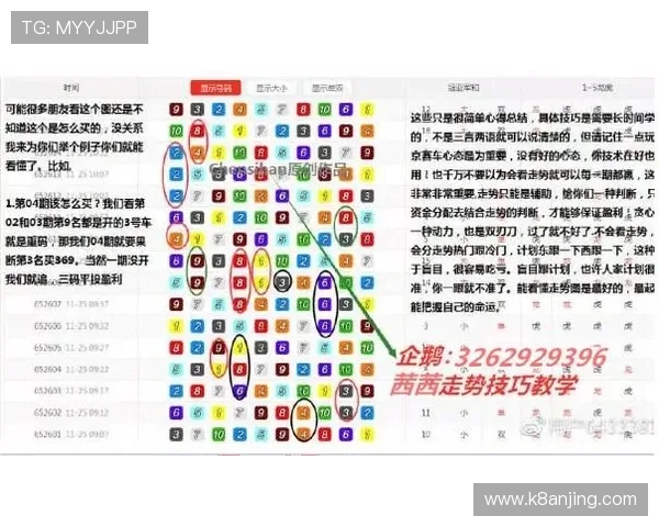 押庄龙虎如何选择押注策略，实用技巧助你稳赢